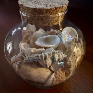 Beach in a Bottle! Glass Jar with Assorted Seashells